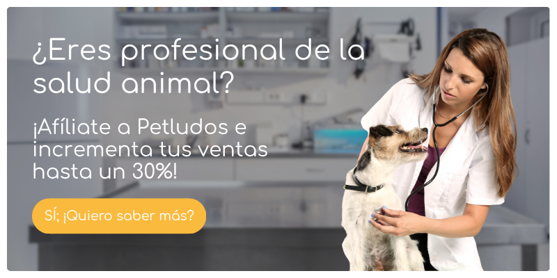 Banner promocional de veterinarias