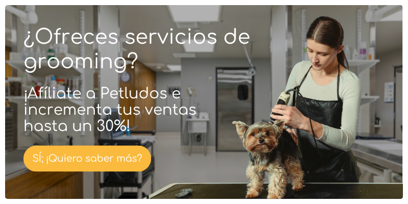 Banner promocional de grooming